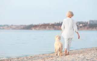 Activities to Do with Your Aging Dog